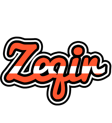 Zeqir denmark logo