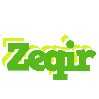 Zeqir picnic logo