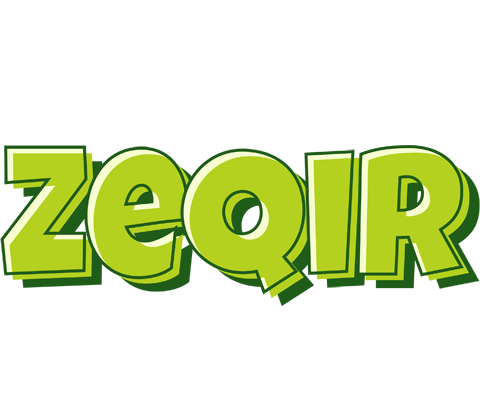 Zeqir summer logo