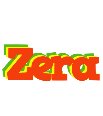 Zera bbq logo