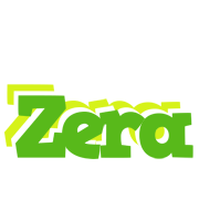 Zera picnic logo