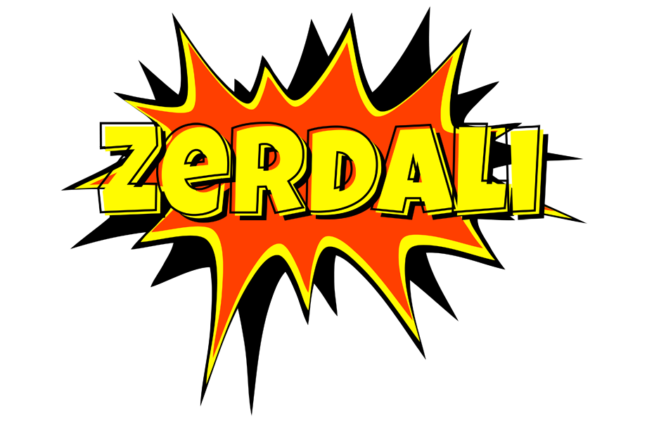 Zerdali bazinga logo