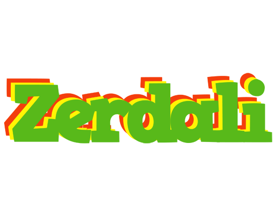 Zerdali crocodile logo