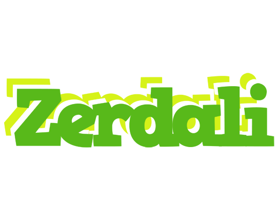 Zerdali picnic logo