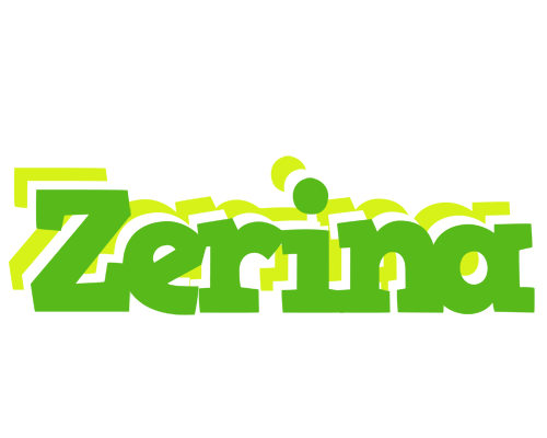 Zerina picnic logo