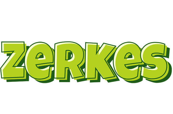 Zerkes summer logo