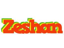 Zeshan bbq logo