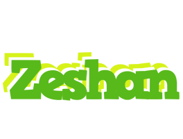 Zeshan picnic logo