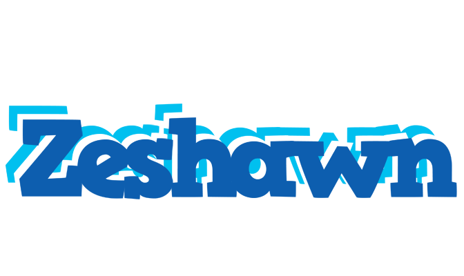 Zeshawn business logo