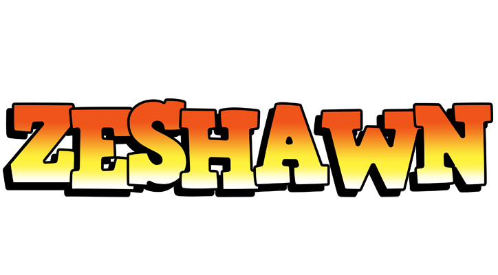 Zeshawn sunset logo