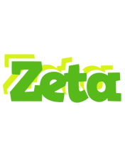 Zeta picnic logo