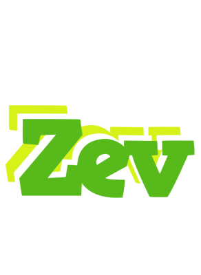 Zev picnic logo