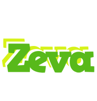 Zeva picnic logo