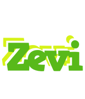 Zevi picnic logo