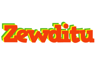 Zewditu bbq logo