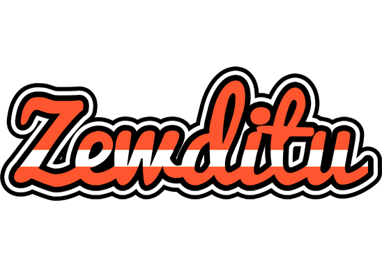 Zewditu denmark logo