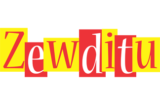 Zewditu errors logo