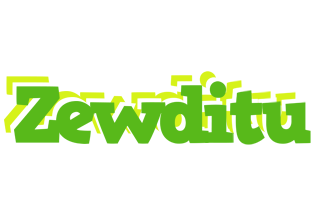 Zewditu picnic logo