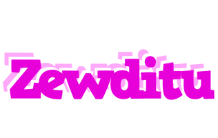 Zewditu rumba logo