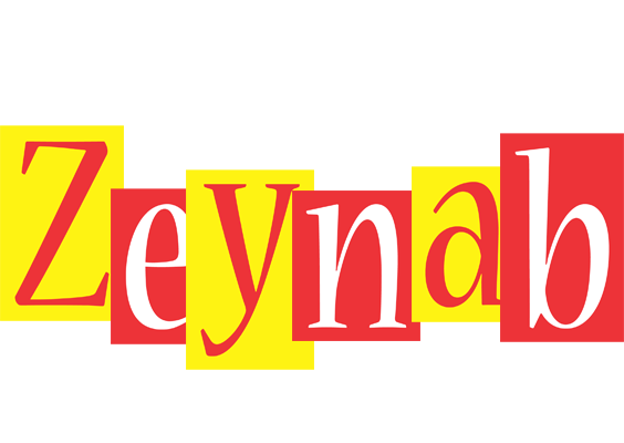 Zeynab errors logo