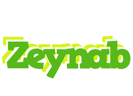 Zeynab picnic logo