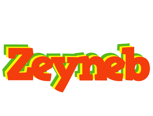 Zeyneb bbq logo
