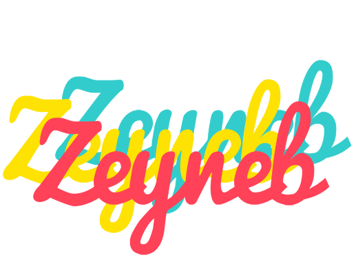 Zeyneb disco logo
