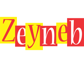 Zeyneb errors logo