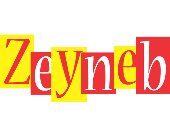 Zeyneb errors logo