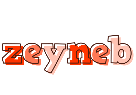 Zeyneb paint logo