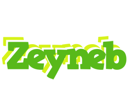 Zeyneb picnic logo