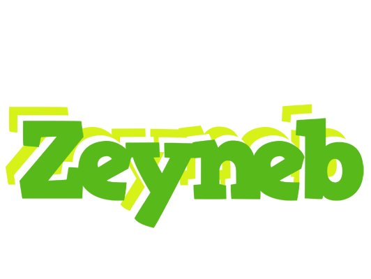Zeyneb picnic logo