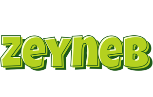 Zeyneb summer logo