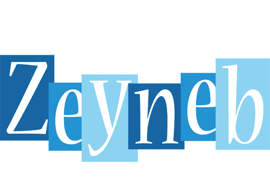 Zeyneb winter logo
