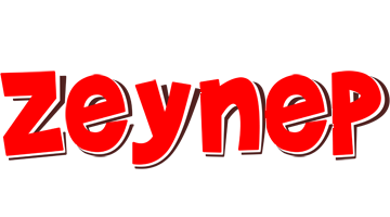 Zeynep basket logo