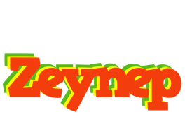 Zeynep bbq logo