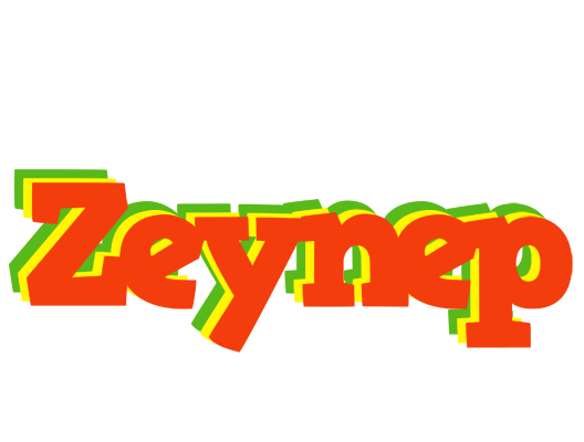 Zeynep bbq logo
