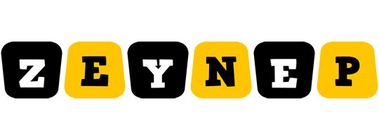 Zeynep boots logo