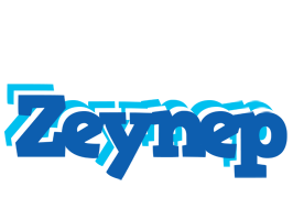 Zeynep business logo