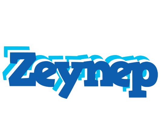 Zeynep business logo