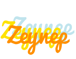 Zeynep energy logo