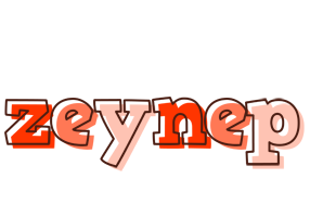 Zeynep paint logo