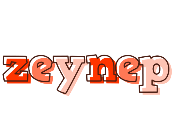 Zeynep paint logo