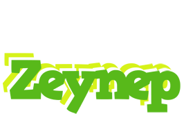 Zeynep picnic logo