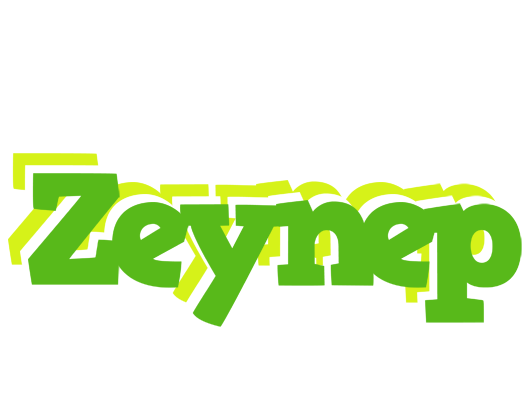 Zeynep picnic logo