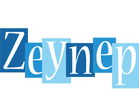 Zeynep winter logo