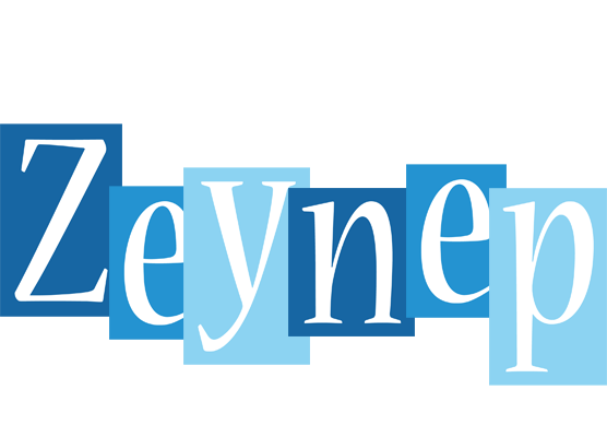 Zeynep winter logo