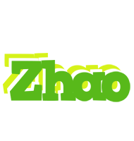 Zhao picnic logo