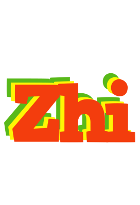 Zhi bbq logo
