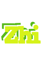 Zhi citrus logo